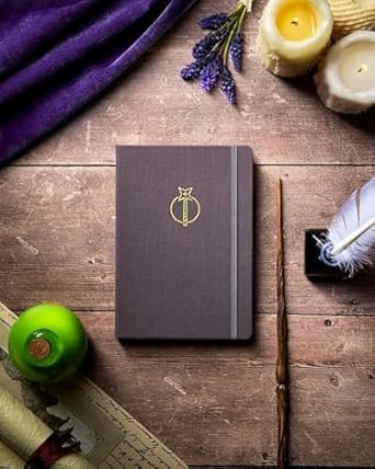 The Hero's Journal Istoria Magic Academy Cauldron Gray