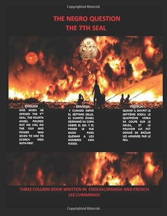 THE NEGRO QUESTION THE 7TH SEAL