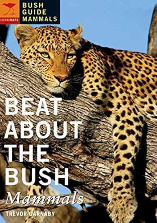 Beat About the Bush: Mammals