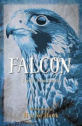 Falcon (Animal Series)