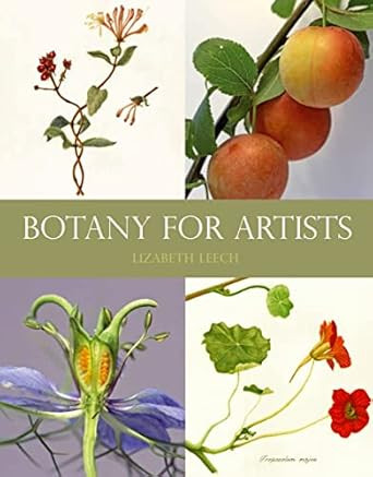 Botany for Artists
