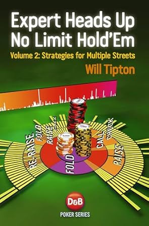 Expert Heads Up No Limit Hold'em Play