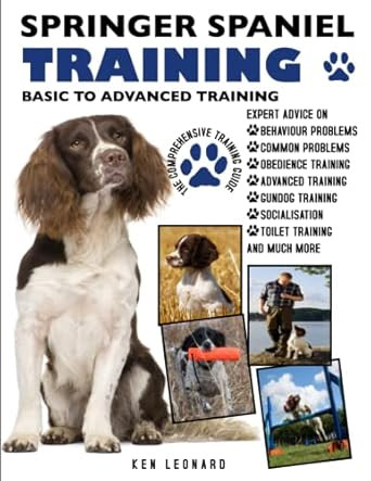 Springer Spaniel Training