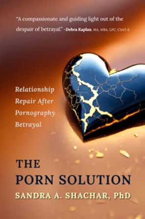 The Porn Solution