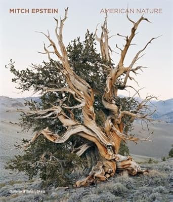Mitch Epstein: American Nature