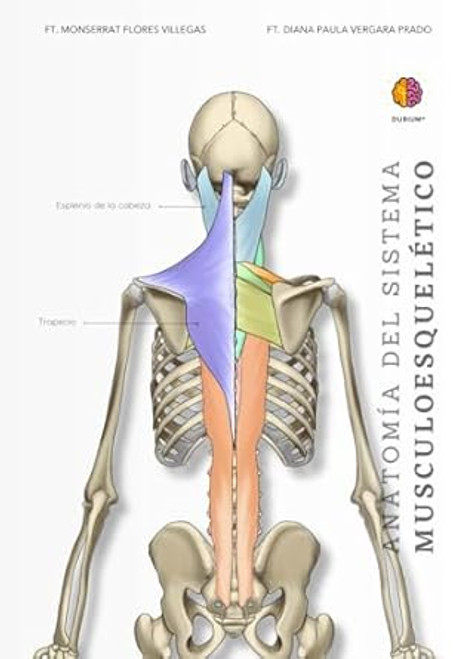 Anatomia del sistema musculoesqueletico
