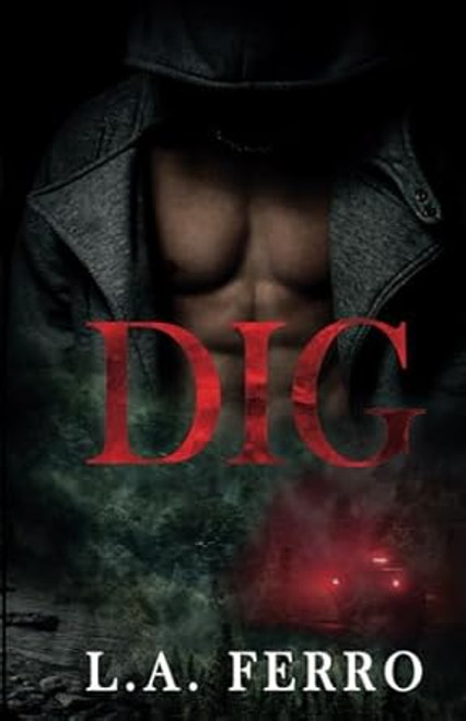 DIG: A Second Chance Romance