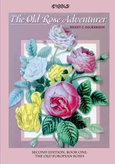 The Old Rose Adventurer Book One