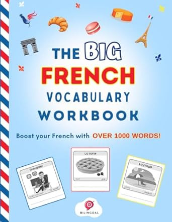 The Big French Vocabulary Workbook