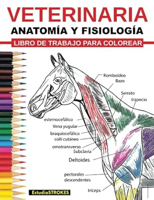Veterinaria Ibro De Trabajo Para Colorear Anatomia Y