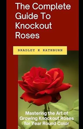 The Complete Guide To Knockout Roses