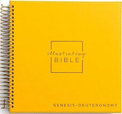 NIV Illustrating Bible Yellow