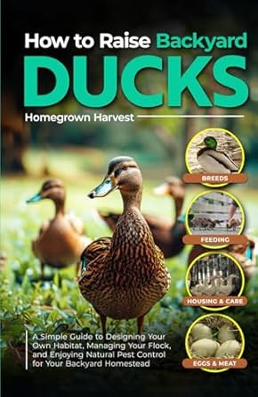 How to Raise Backyard Ducks