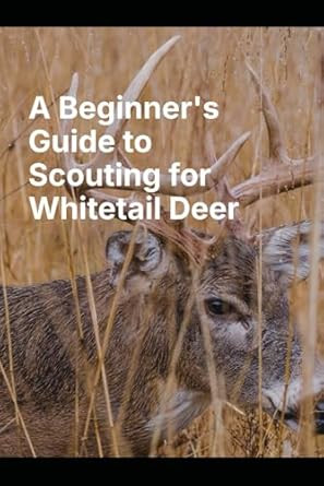 A Beginner's Guide to Scouting for Whitetail Deer