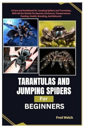 Tarantulas and Jumping Spiders for Beginners
