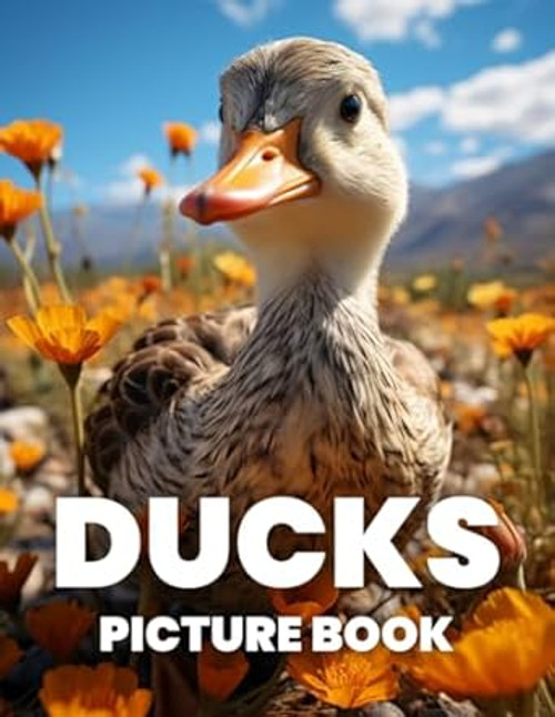 Ducks Picture Book