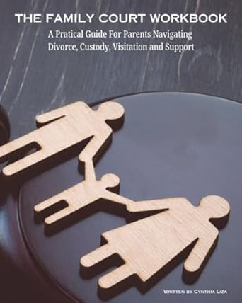 The Family Court Workbook
