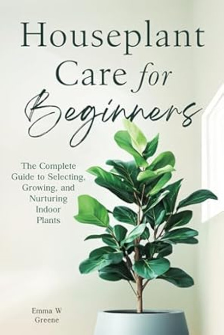 Houseplant Care for Beginners