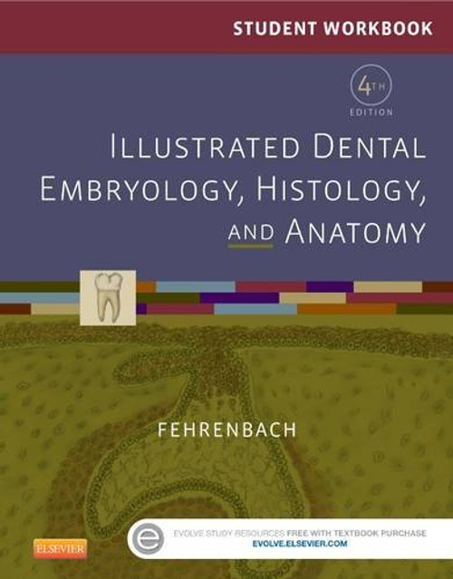 Student Workbook For Illustrated Dental Embryology Histology And Anatomy