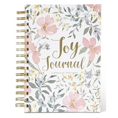Abiding Light Prayer Journal for Woman Joy Journal