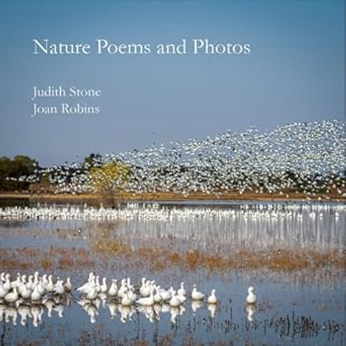 Nature Poems and Photos