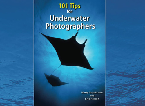 101 Tips for Underwater Photographers