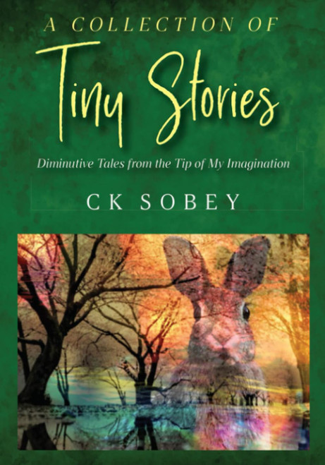 A Collection of Tiny Stories: Diminutive Tales from the Tip of My