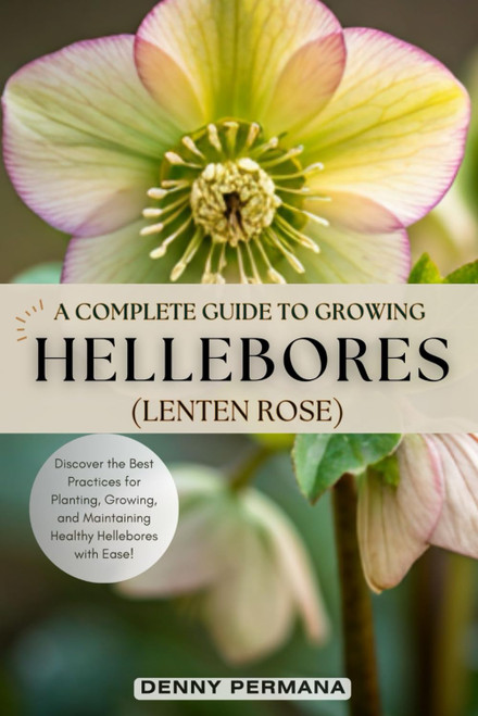A Complete Guide to Growing Lush Hellebores