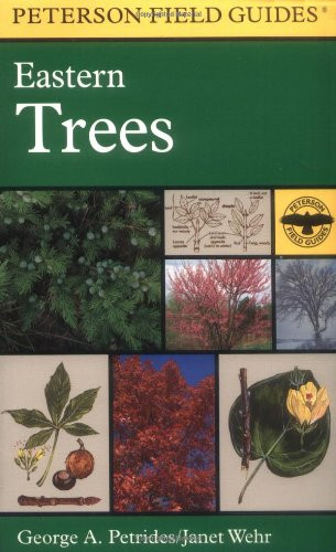 A Field Guide to Eastern Trees: Eastern United States and Canada