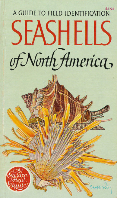 A Guide to Field Identification Seashells of North America