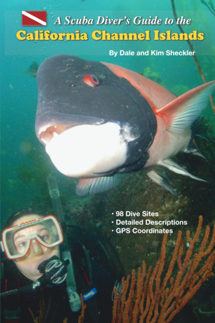 A Scuba Diver's Guide to the California Channel Islands