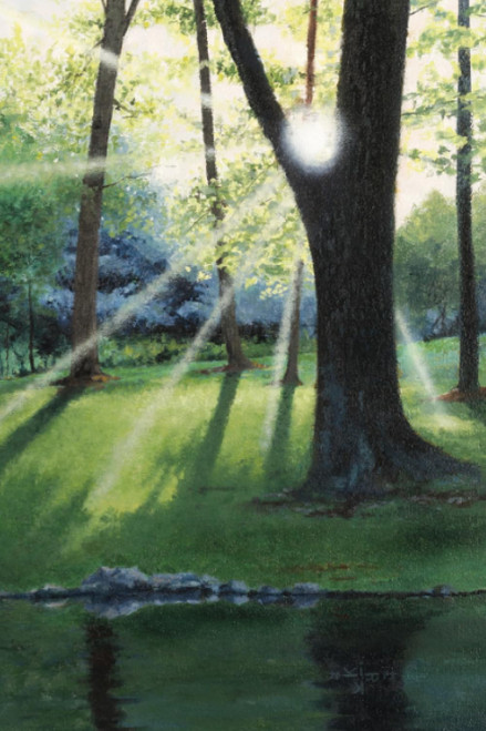 A Walk in the Woods Journal