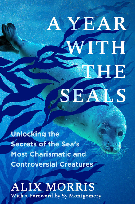 A Year with the Seals: Unlocking the Secrets of the Sea's Most