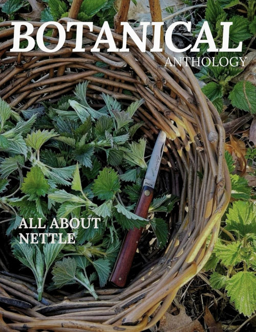 All About Nettle
