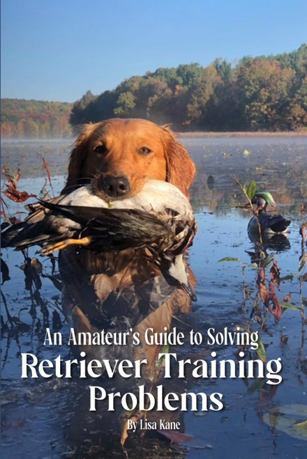 An Amateur's Guide to Solving Retriever Training Problems