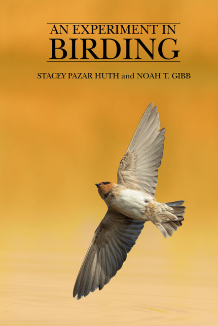 An Experiment In Birding