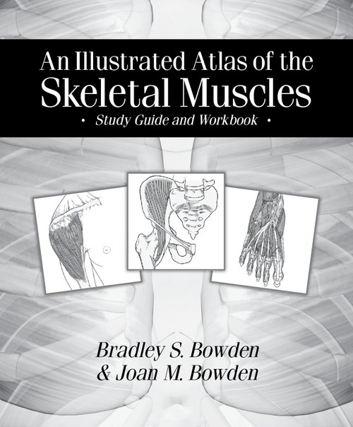 An Illustrated Atlas of the Skeletal Muscles: Study Guide and Workbook