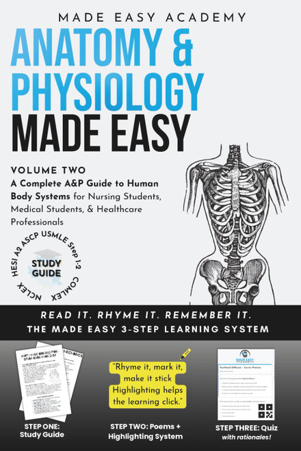 Anatomy & Physiology II Made Easy