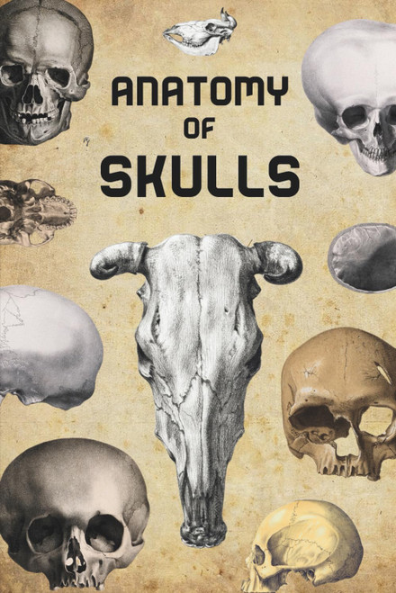 Anatomy of Skulls, Skeletons & Bones