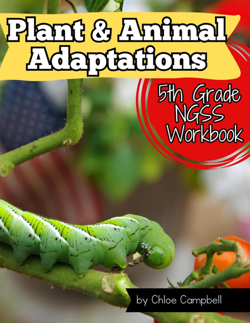 Animals & Plants Adaptations in Nature