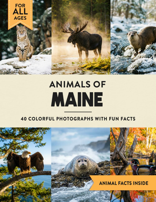 Animals of Maine: Learn All About Pine Tree State Wildlife in a Fun Fact