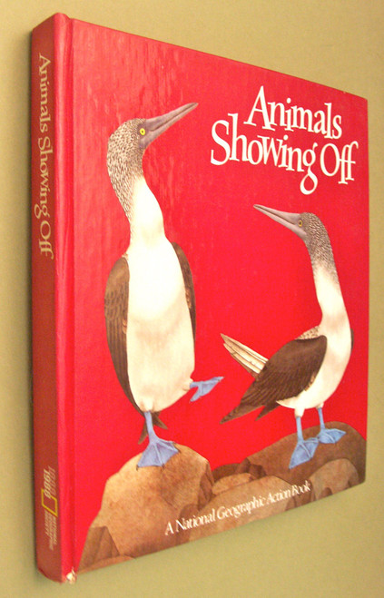 Animals Showing Off (A Pop-Up Book)