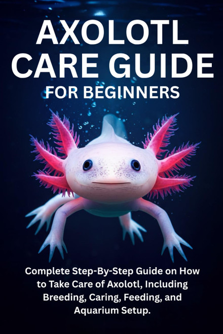 Axolotl Care Guide for Beginners