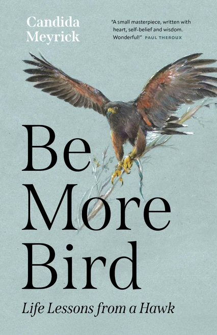 Be More Bird: Life Lessons from a Hawk