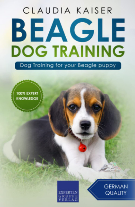 Beagle Dog Training: Dog Training for your Beagle puppy