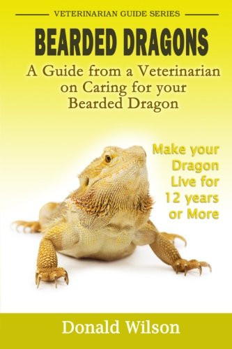 Bearded Dragons: A Guide From A Veterinarian On Caring For Your Bearded