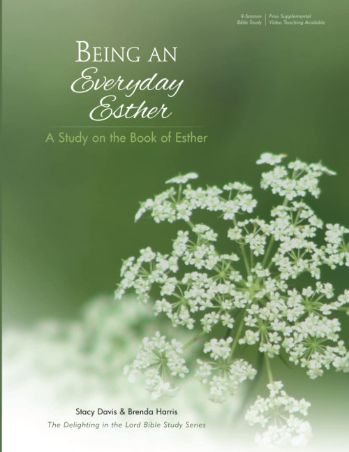Being An Everyday Esther: A Study on the Book of Esther
