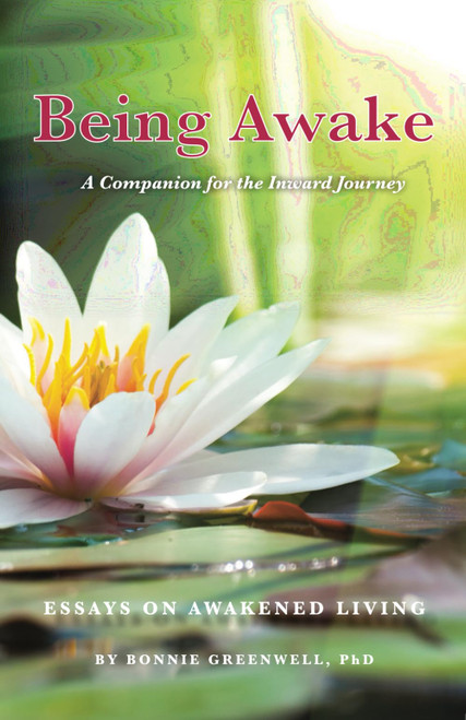 Being Awake: Essays on Awakened Living