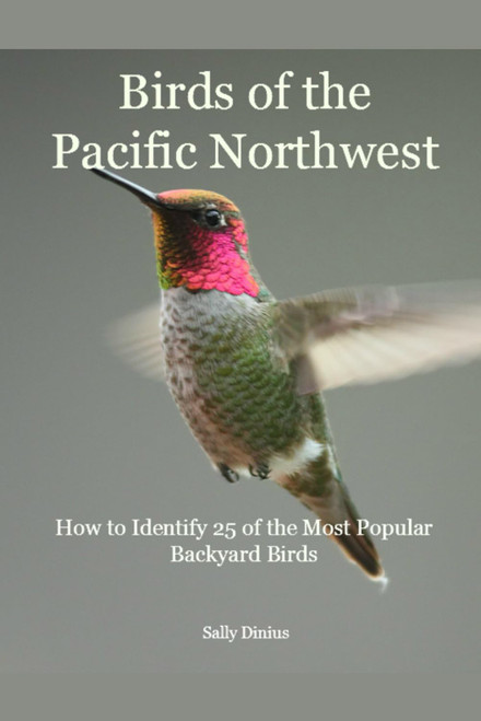 Birds of the Pacific Northwest: How to Identify 25 of the Most Popular