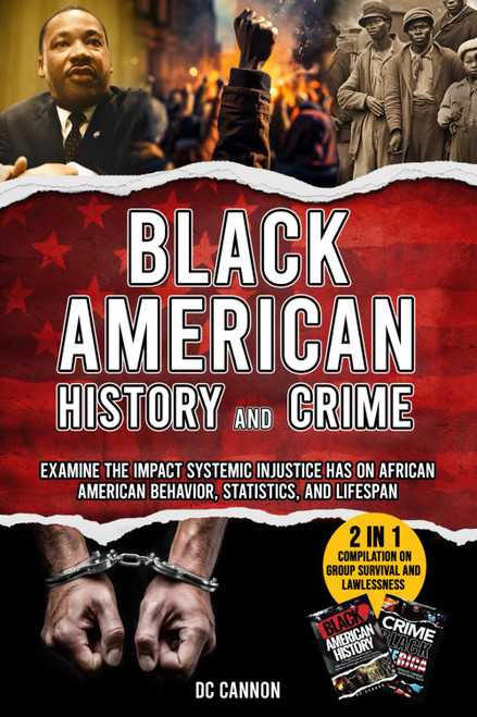 Black American History and Crime
